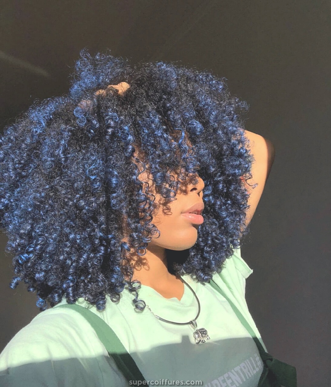 20 coiffures bouclées afro-américaines extraordinaires